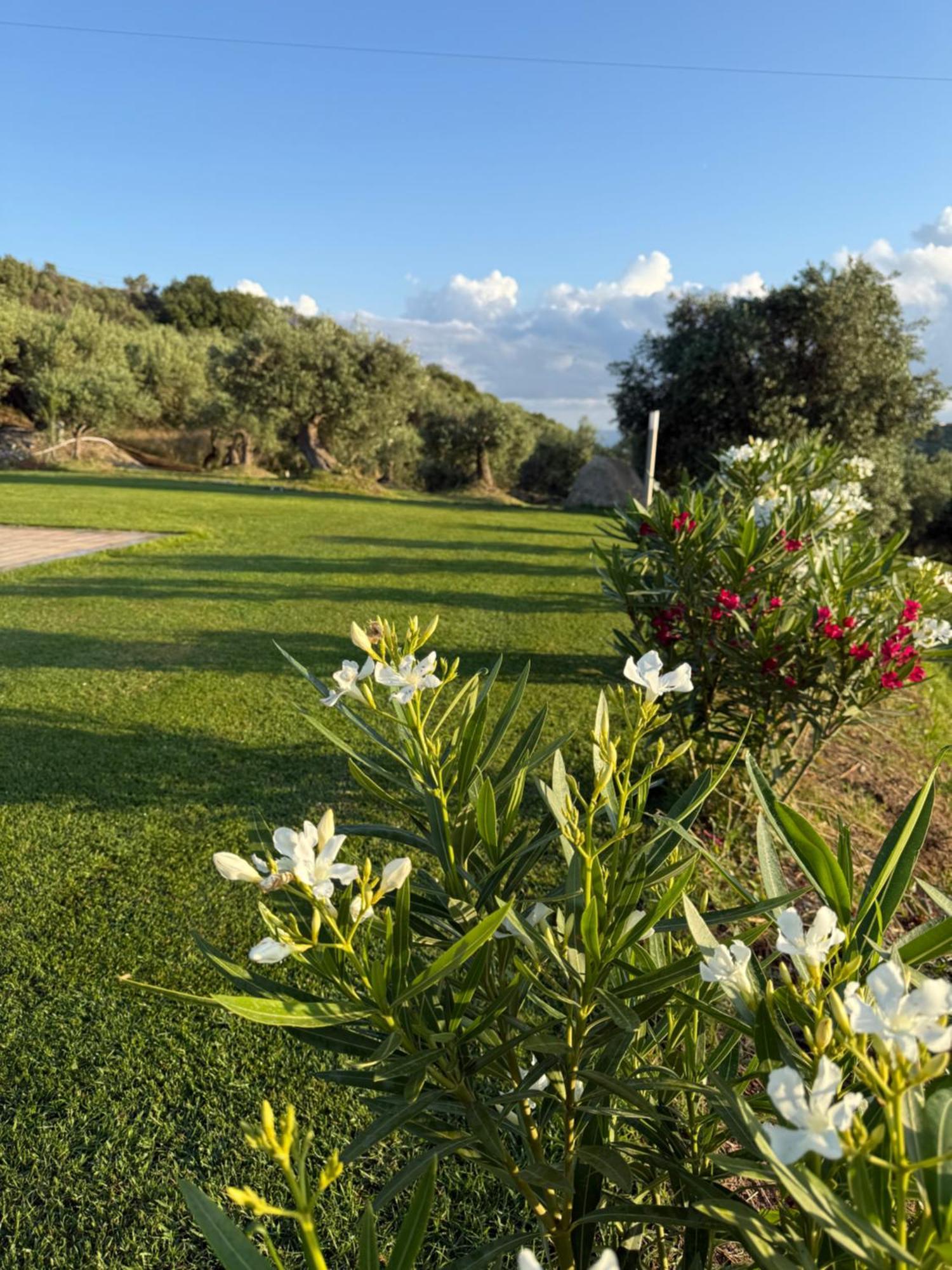 Agrolea Terme Vigliatore Exterior foto