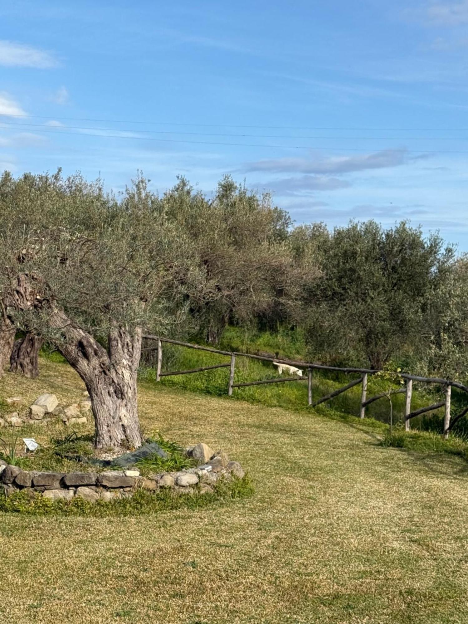 Agrolea Terme Vigliatore Exterior foto