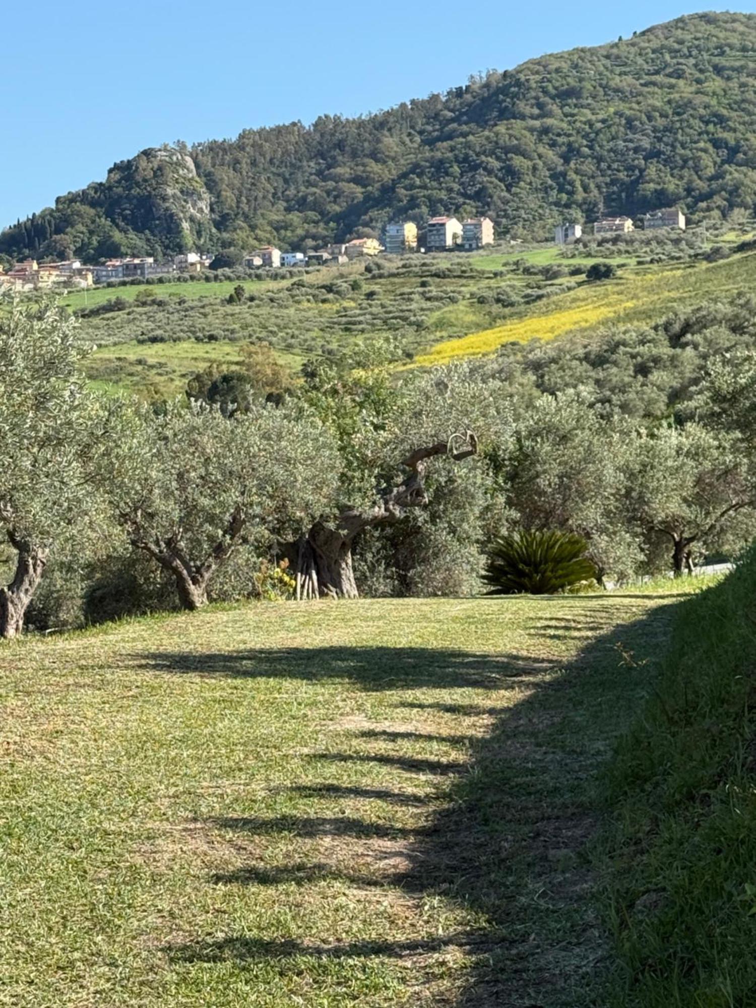 Agrolea Terme Vigliatore Exterior foto
